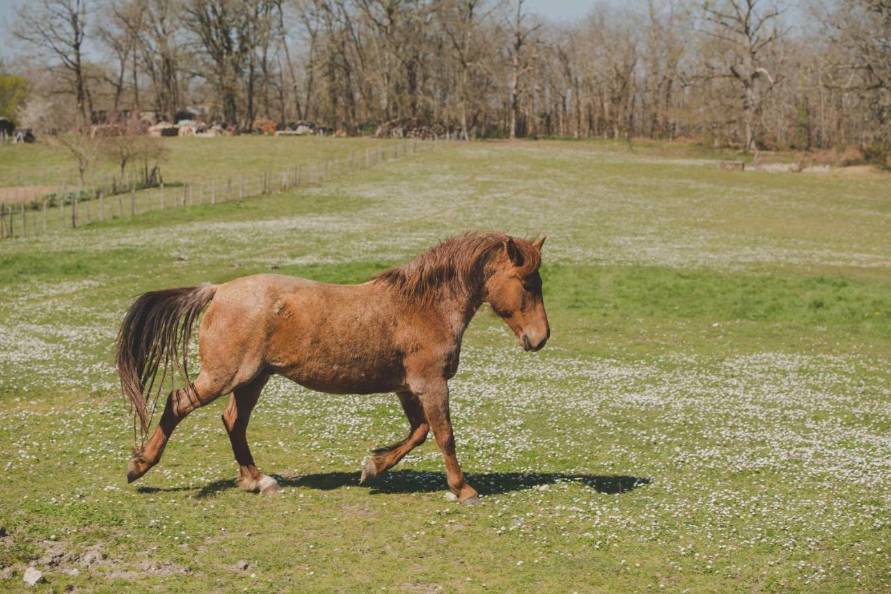 La Ferme De Bousserand Pontours Luaran gambar